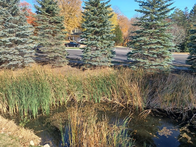 view of yard featuring a water view