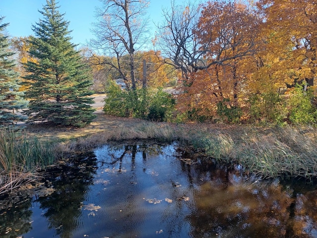 water view