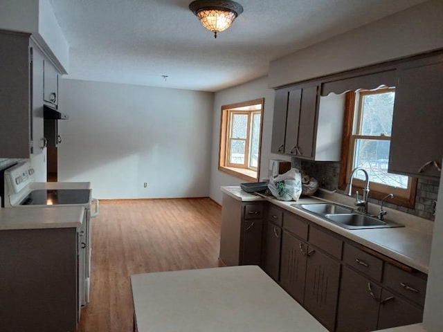 kitchen featuring white electric range, plenty of natural light, a sink, and light countertops