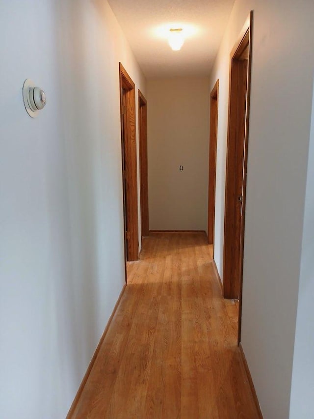 3824 174th Ave NW, Andover, MN 55304 - hallway featuring light wood-style flooring