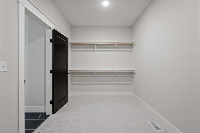 spacious closet with carpet