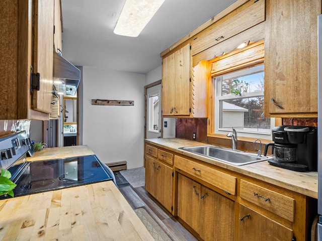 kitchen featuring dark hardwood / wood-style floors, range, sink, and a baseboard heating unit