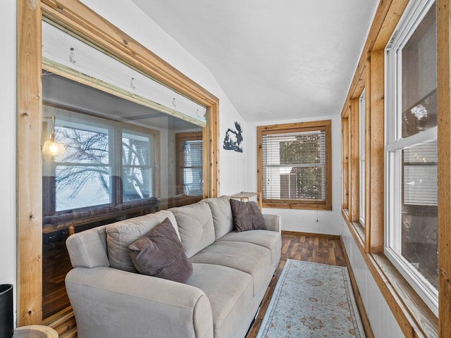 living room featuring vaulted ceiling and dark wood-type flooring