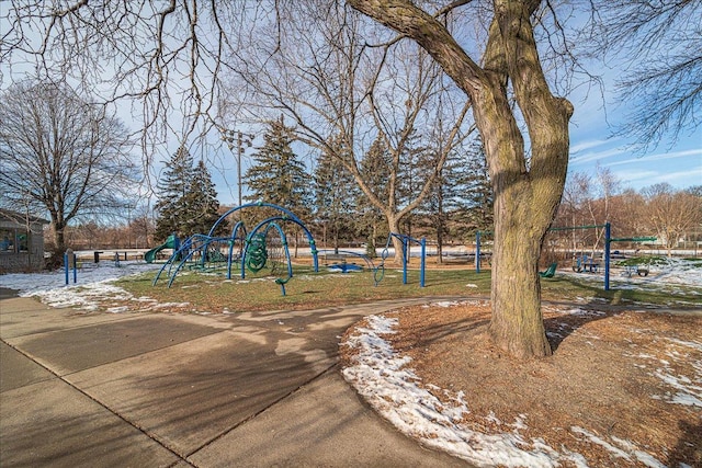 view of jungle gym