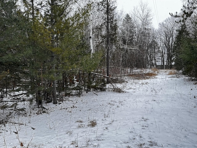 Listing photo 3 for TBD Katrine Dr, Deerwood MN 56444