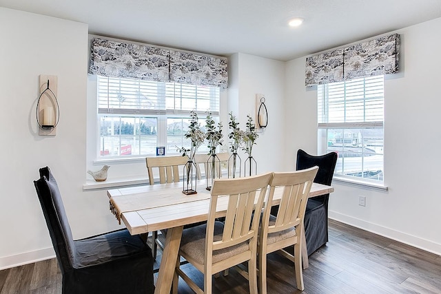 dining room featuring a wealth of natural light and dark wood-type flooring