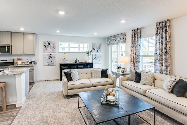 living room with a textured ceiling and light wood-type flooring