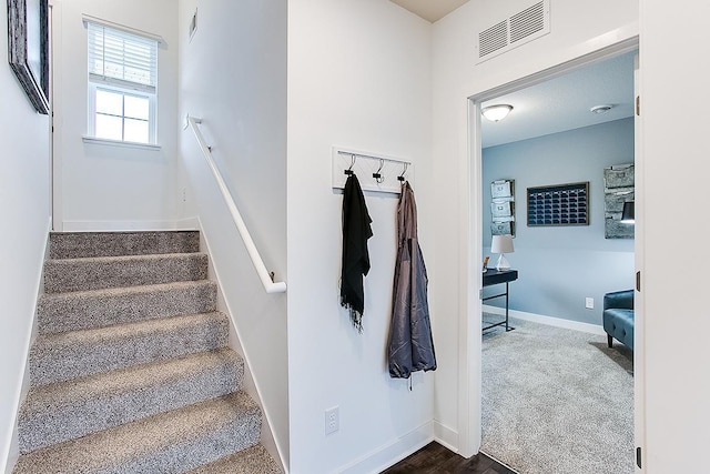 staircase with carpet flooring