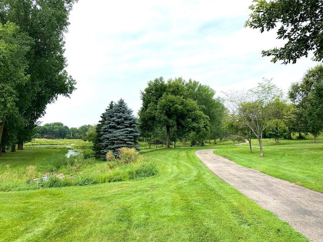 view of home's community featuring a yard