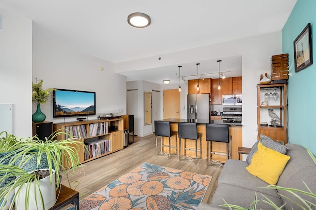 living room with light wood-type flooring