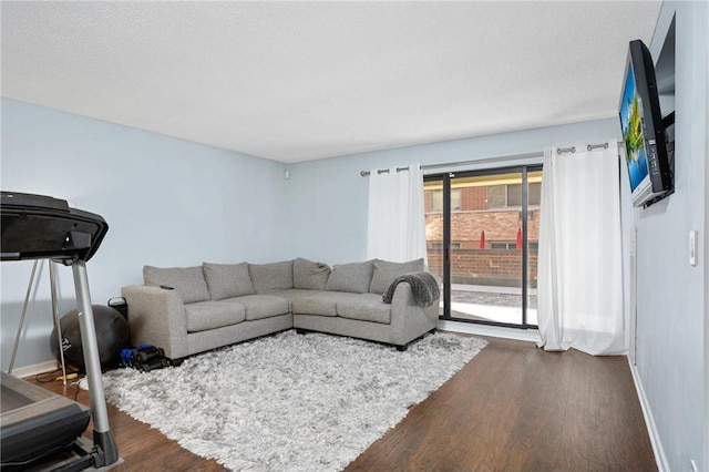 living room with dark wood-type flooring