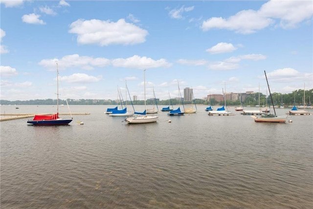 property view of water with a dock