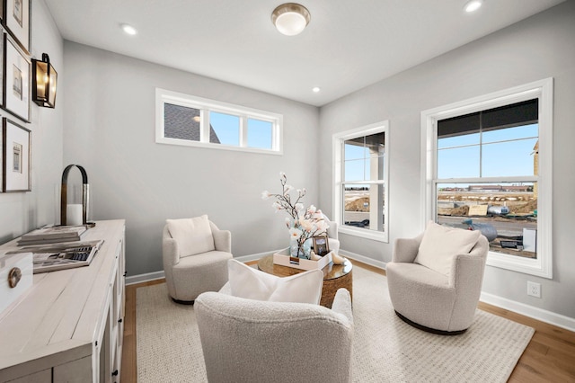 living area featuring light hardwood / wood-style floors