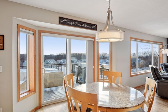 dining area featuring light hardwood / wood-style flooring