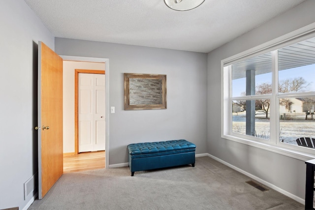 sitting room featuring light carpet and a textured ceiling