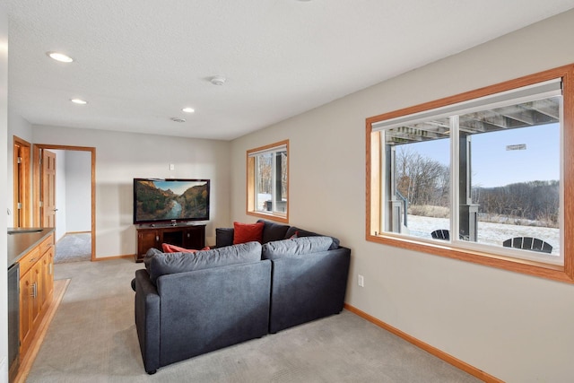 living room featuring light carpet and a textured ceiling