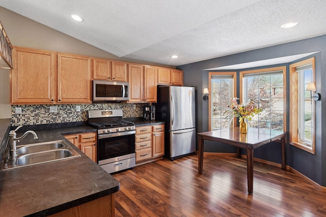 kitchen with lofted ceiling, a sink, dark wood-type flooring, appliances with stainless steel finishes, and dark countertops