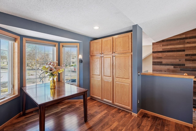 interior space with baseboards, dark wood-style flooring, and a textured ceiling