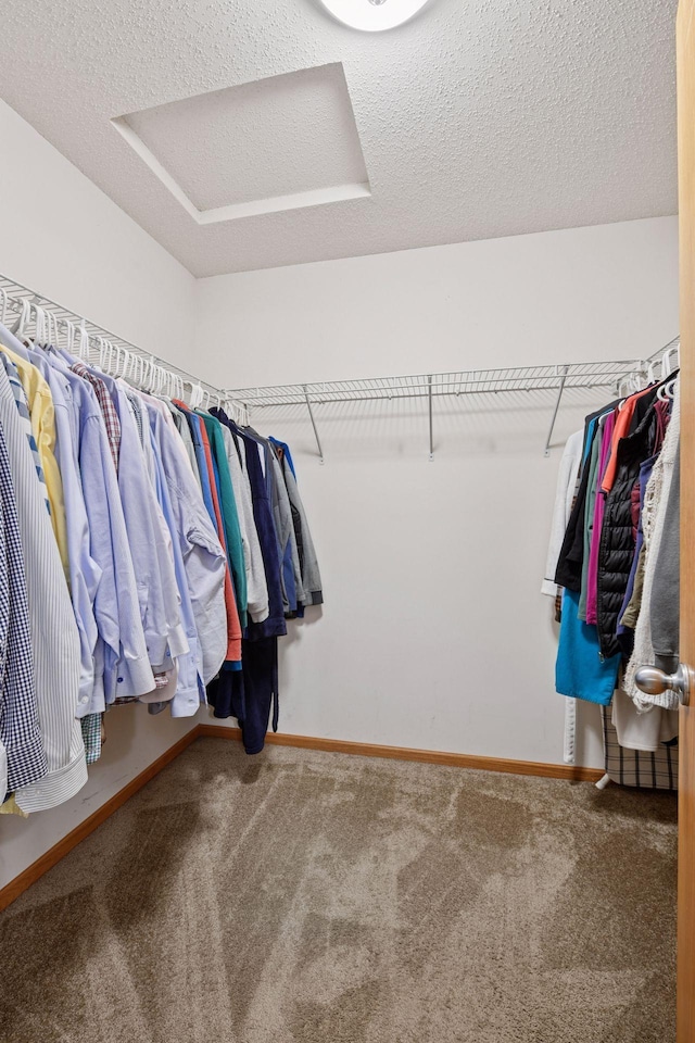 spacious closet featuring attic access and carpet