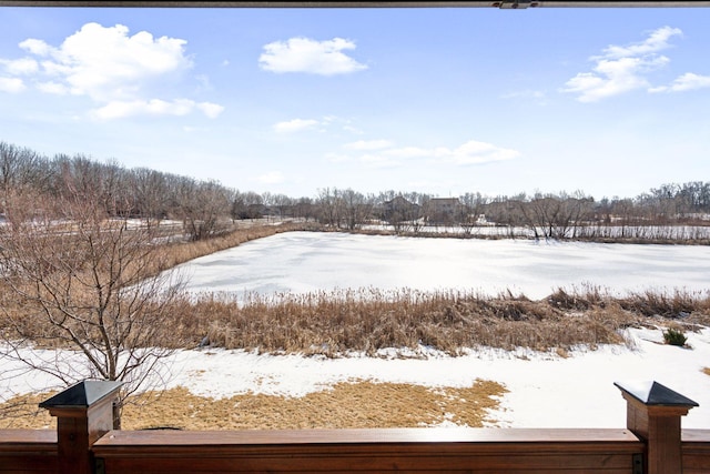 view of yard covered in snow