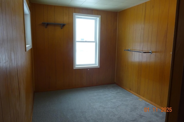 unfurnished room with wood walls and a healthy amount of sunlight