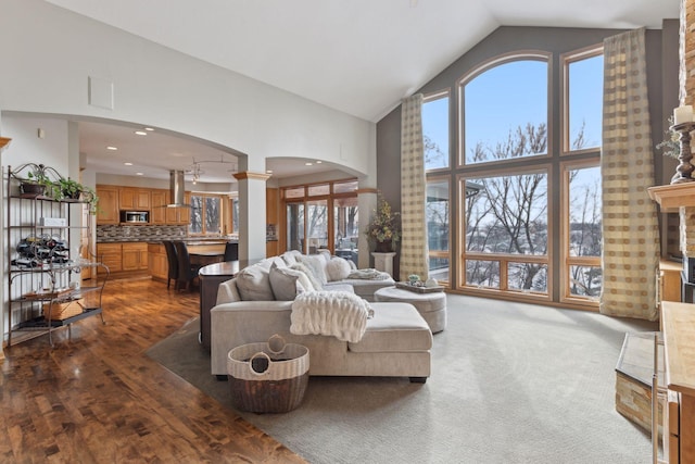 living room with dark hardwood / wood-style floors and high vaulted ceiling