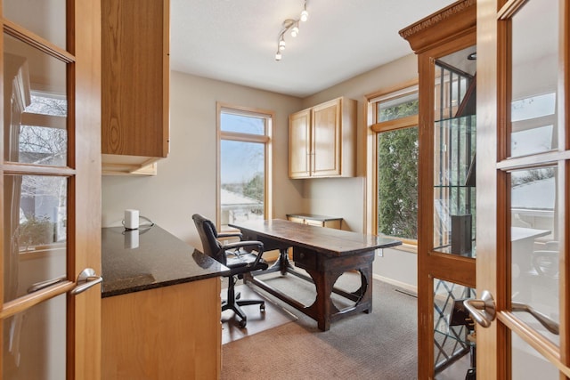 carpeted home office featuring track lighting