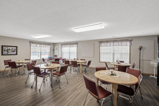 dining room featuring a textured ceiling and hardwood / wood-style flooring