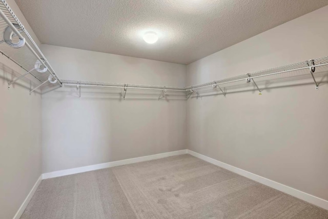 spacious closet with carpet flooring