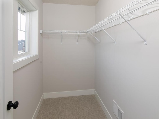 spacious closet featuring carpet flooring and visible vents