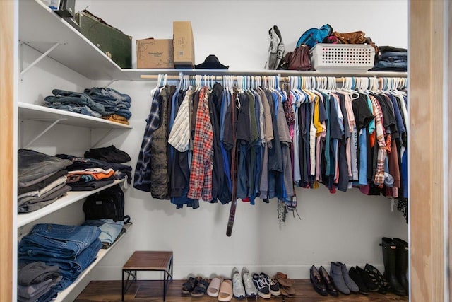 walk in closet featuring wood-type flooring