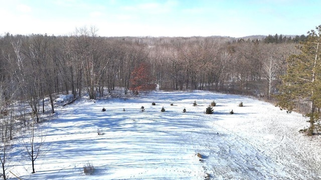 yard layered in snow with a forest view
