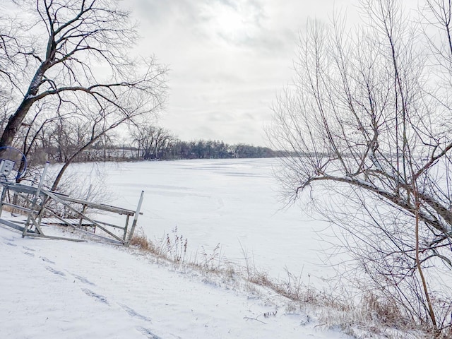 view of yard layered in snow