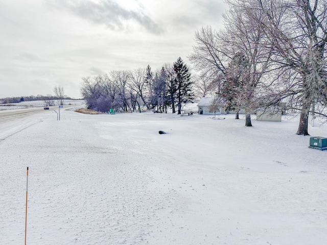 view of yard covered in snow