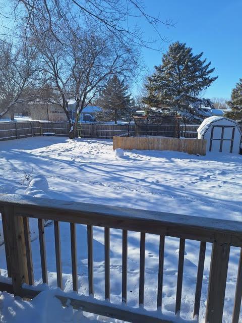 yard layered in snow with a storage unit