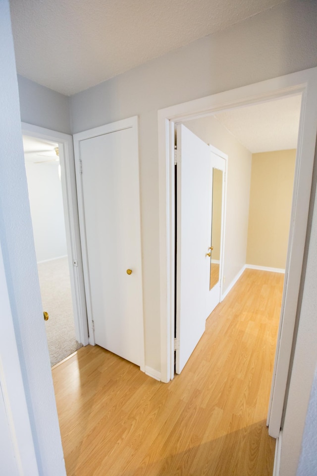 707 Haarfager Ave N, Canby, MN 56220 - corridor with light wood-type flooring and baseboards