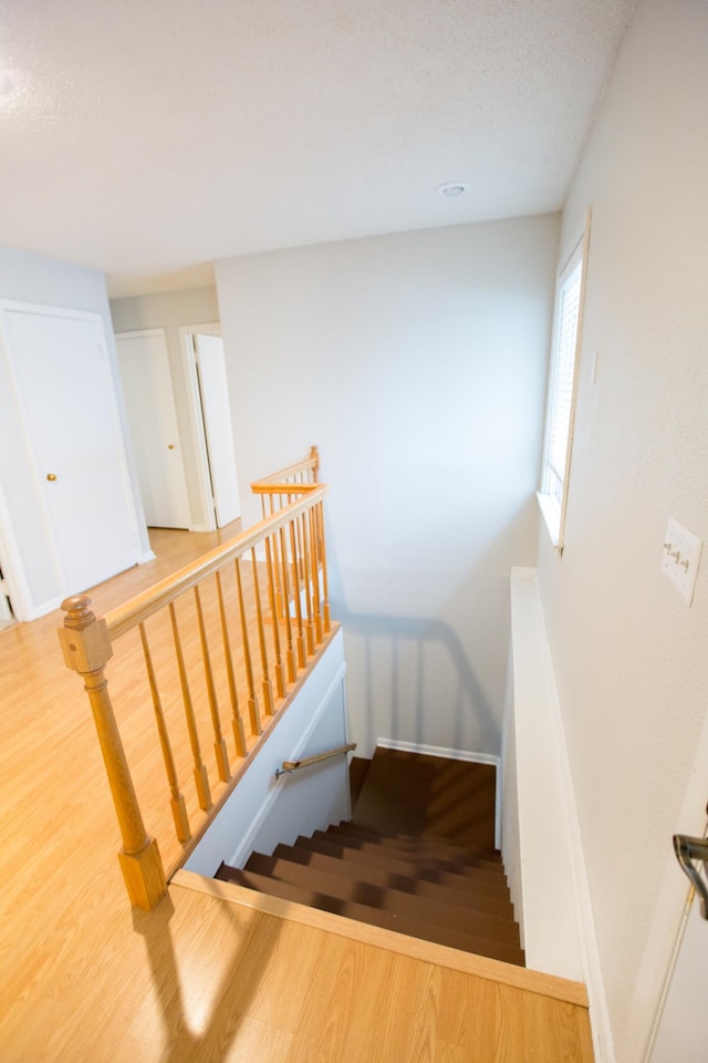 707 Haarfager Ave N, Canby, MN 56220 - stairway featuring wood finished floors and baseboards