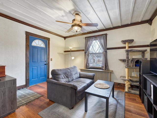 living room with crown molding, dark hardwood / wood-style floors, radiator heating unit, and ceiling fan