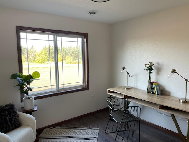 home office featuring dark hardwood / wood-style flooring