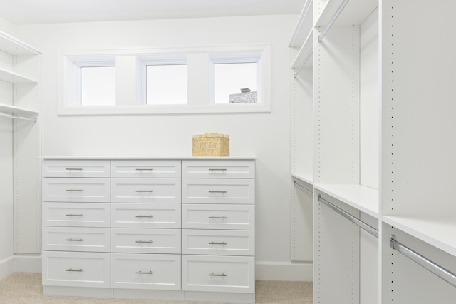 walk in closet with light colored carpet