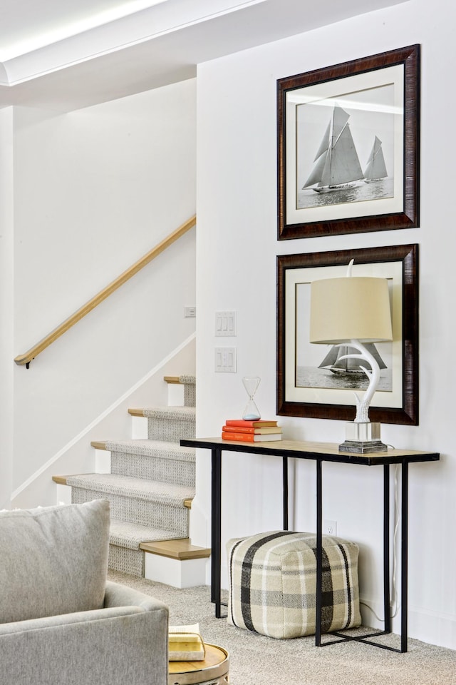 staircase with carpet flooring