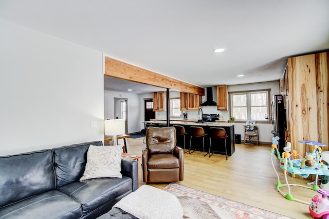 living room with sink and light hardwood / wood-style flooring