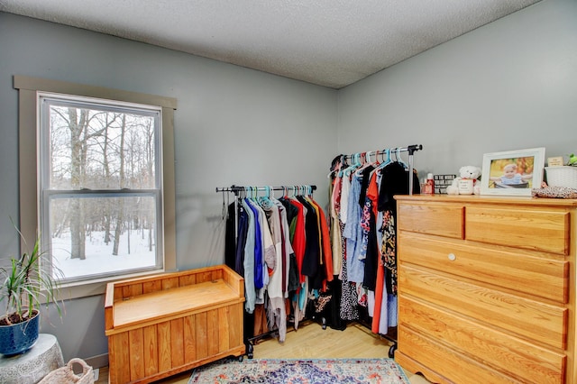 spacious closet with light wood-type flooring