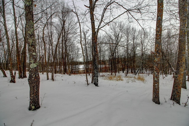 view of yard covered in snow