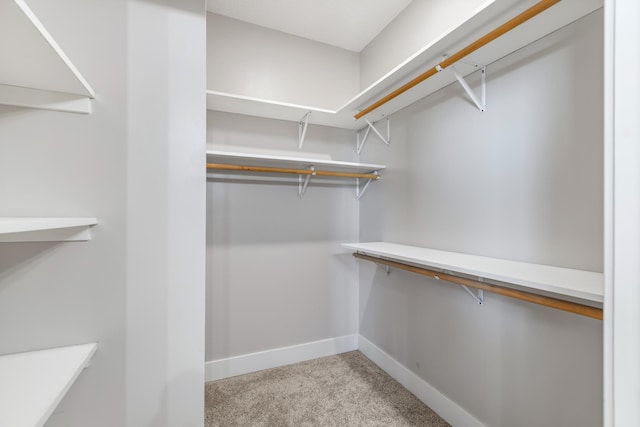 walk in closet with light carpet