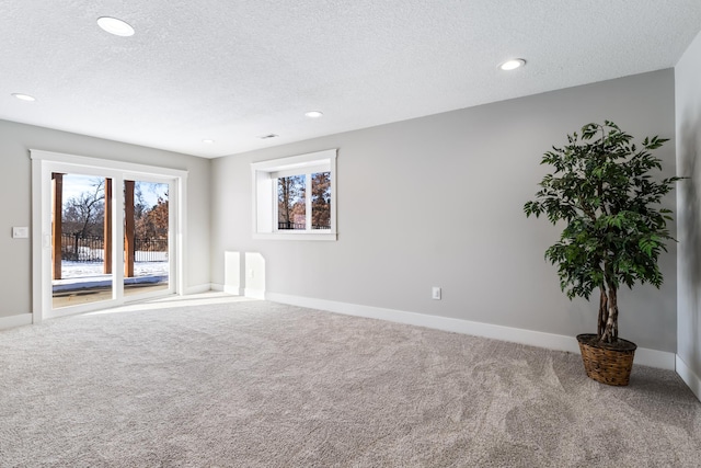 empty room with carpet and a textured ceiling