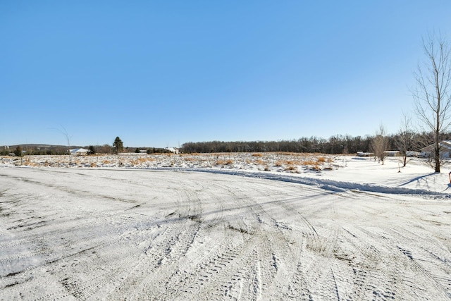 Listing photo 2 for 196XX 346th, Shafer Twp MN 55084