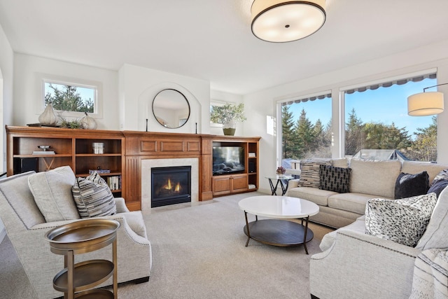 carpeted living room featuring a wealth of natural light