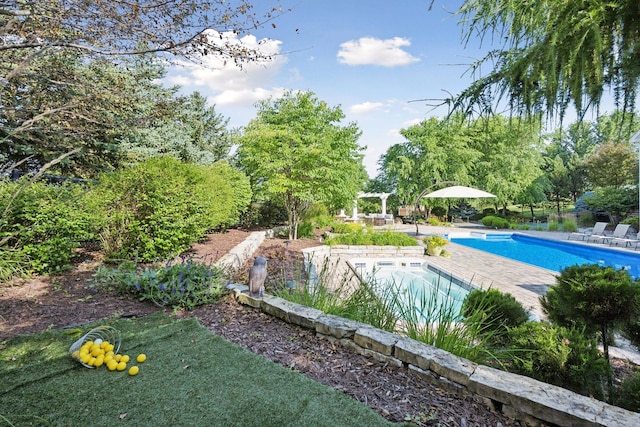 view of pool with a pergola and a patio area