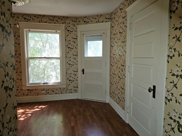 foyer with dark hardwood / wood-style floors and a healthy amount of sunlight